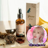 [틱톡커 차오름 pick] 레이저워터 생기발견 (활기차개) 강아지영양제